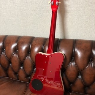 可愛い❣️ダンエレクトロ❣️