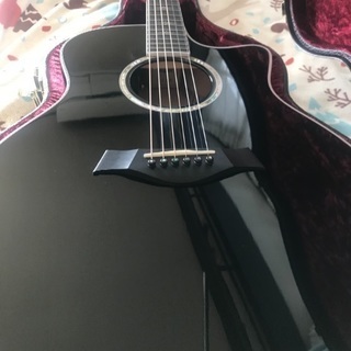 taylor616ce MIYAVIモデル