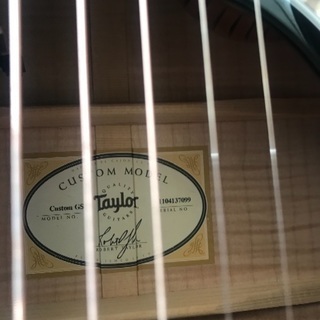 taylor616ce MIYAVIモデル