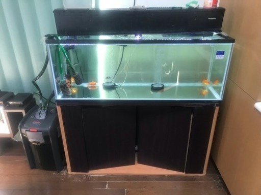 アウトレット 水槽セットです。激安❗️取りに来てくれる方限定。 