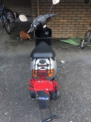 原付バイク譲ります！！