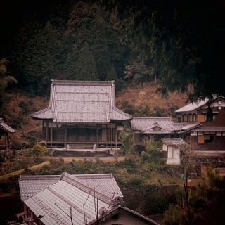 お寺で仏教を学ぼう。平成最後の除夜の鐘