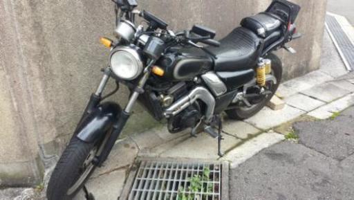 エリミネーター250
