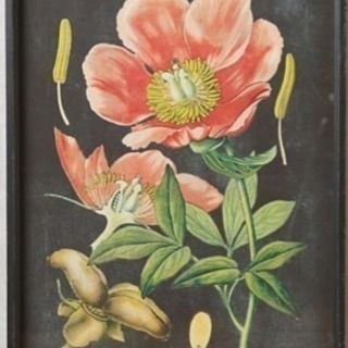 額縁 絵画 アンティークのヴァガボンド・ヴィンテージ作品植物１