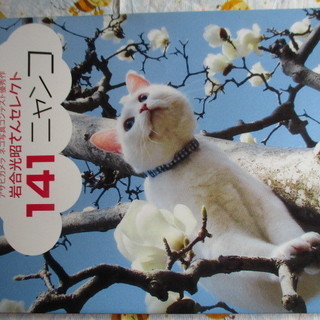 【最終処分】  岩合光昭さんセレクト　１４１ニャンコ　猫　こねこ...