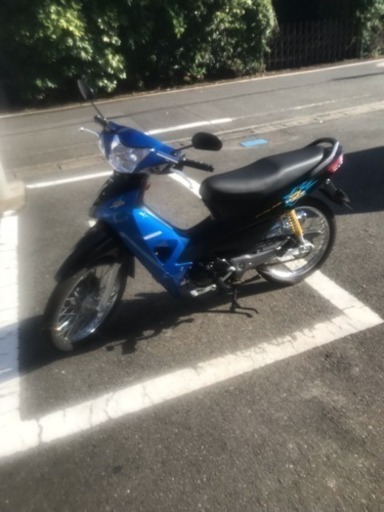 タイカブ weve100z
