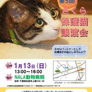 第5回さくら保護猫譲渡会