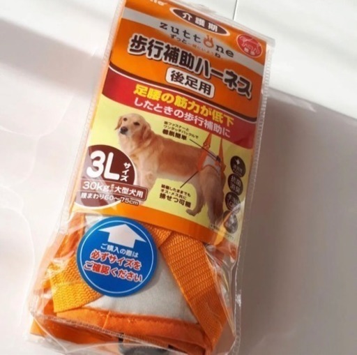 わんちゃん いろいろ5点セット