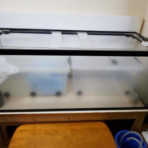 【引き渡し決定しました】150×60×60アクリル水槽