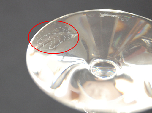 Baccarat/バカラ ベガ フルーティッシモ グラス ブルー系 シャンパン