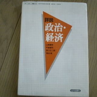 詳説 政治・経済 文部科学省検定済教科書 高等学校 公民科用 