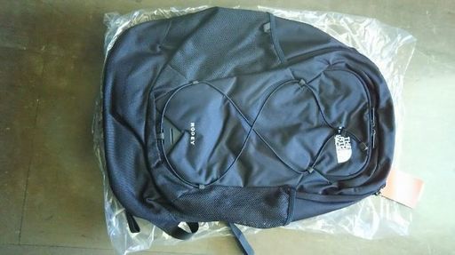 リュックサック THE NORTH FACE Rodey