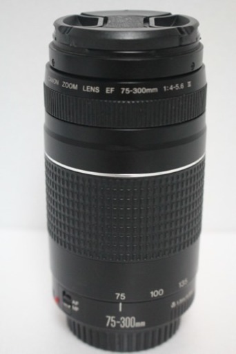 ❤️ キャノン Canon  EF 75-300mm III 望遠レンズ ❤️ 6460円