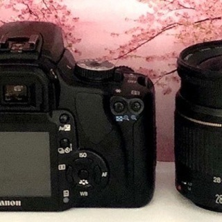簡単・軽量・高画質✨初心者入門機✨Canon EOS Kiss X レンズキット
