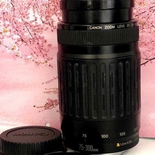 簡単・高機能♦️ど迫力300mm超望遠レンズ♦️キャノン 75-300mm | www