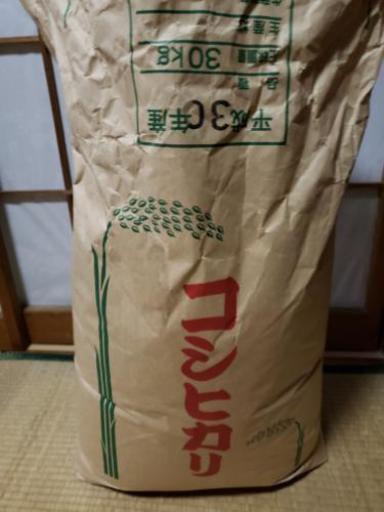 新米コシヒカリ　一等米30㎏