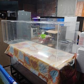 大晦日アクリル水槽1800引き取り