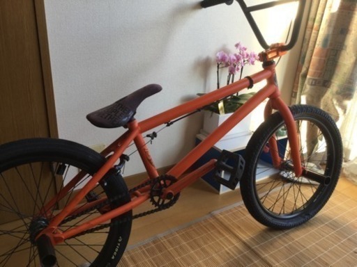 wethepeople trust bmx