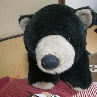 大きなクマのぬいぐるみ