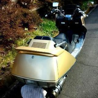 ホンダ フュージョンX　金