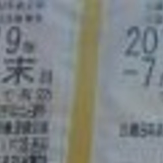 近畿日本鉄道 株主優待乗車証 