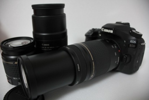 Canon EOS 80D トリプルレンズセット | www.neosaman.cz