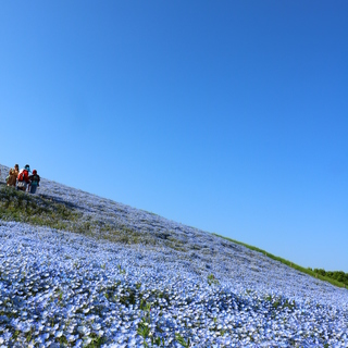 【カメラ旅部-Ein Foto-】カメラ片手に旅に出かけませんか？？～メンバーも募集中～  - 福岡市