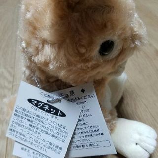 うさぎのぬいぐるみ しゅう 神楽岡のおもちゃ ぬいぐるみ の中古あげます 譲ります ジモティーで不用品の処分