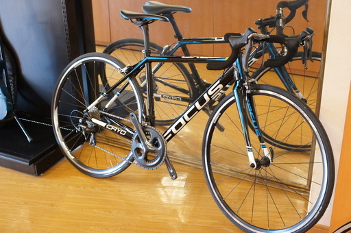 ○高品質の人気○ ロードバイク（FOCUS CAYO Ultegra） www.m