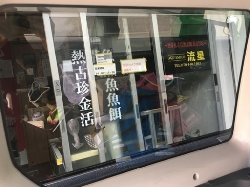 大型魚専門店 Aqua Shop流星 Aquashop流星 加古のペットショップの無料広告 無料掲載の掲示板 ジモティー 大型魚専門店 Aqua Shop流星 Aquashop流星 加古のペットショップの無料広告 無料掲載の掲示板 ジモティー