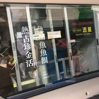 大型魚専門店  AQUA SHOP流星🐟 − 兵庫県