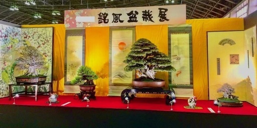 春を感じるインテリア盆栽 桜盆栽ワークショップ Matutaku 吹上のワークショップのイベント参加者募集 無料掲載の掲示板 ジモティー