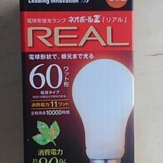 【決まりました】 電球形蛍光ランプ