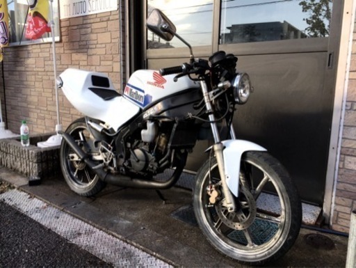 NS-1 ac12 ホンダ 原付 50cc