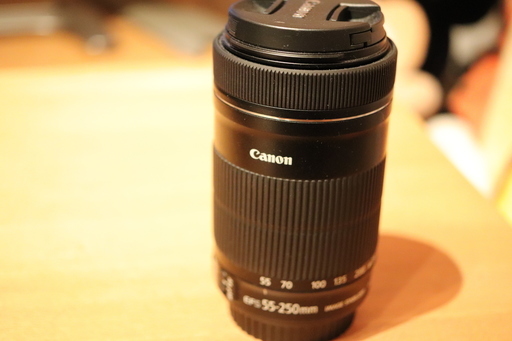 CANON / EF-S55-250mm F4-5.6 IS STM     EOS Kiss X9キットレンズ！