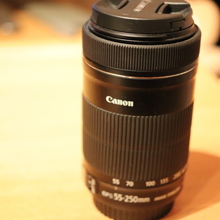 CANON / EF-S55-250mm F4-5.6 IS S...