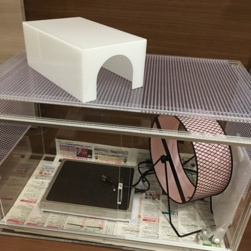 ハリネズミ用アクリルケース