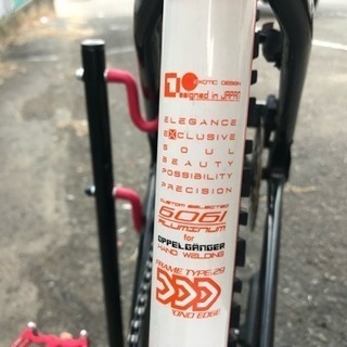 ☆ドッペルギャンガー マウンテンバイク 使用問題無し 調整のみ必