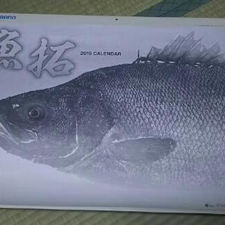 シマノ魚拓カレンダー2019