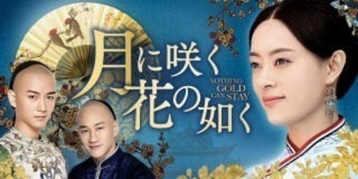 月に咲く花の如く ドラマ 全話 中古美品