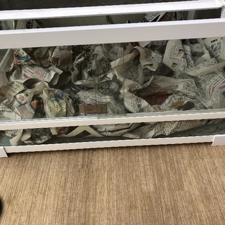 パンテオン6030 | escambau.org