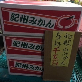 みかん 5㎏ 1500円  カゴいっぱい250円