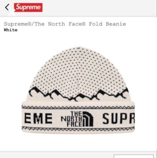Supreme The North Face Fold Beanie シュプリーム ノースフェイス ニット帽 ニットキャップ ビーニー