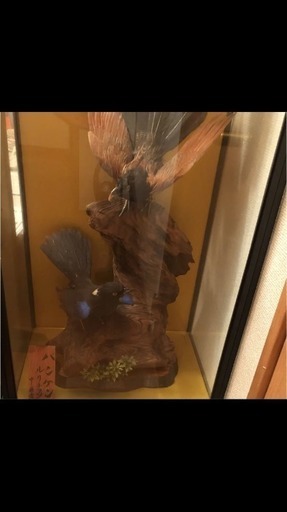 瑠璃鳥の剥製