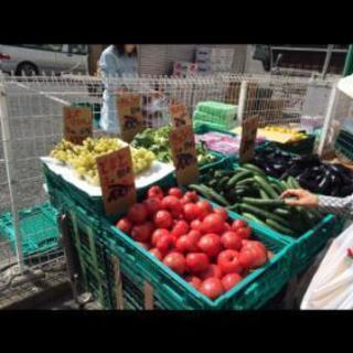 週一回程で旬の野菜果物の販売が出来る場所を探しております🍎🍌🍆🍄 - 八王子市