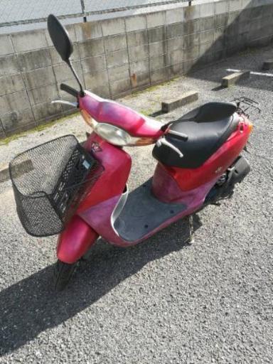 実働 Dio Fit 赤 50cc 原付 自賠責保険残ってます