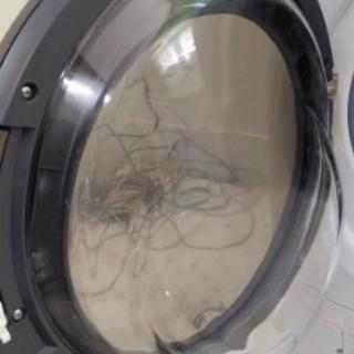 中古　ドラム式洗濯機【一時中断中】