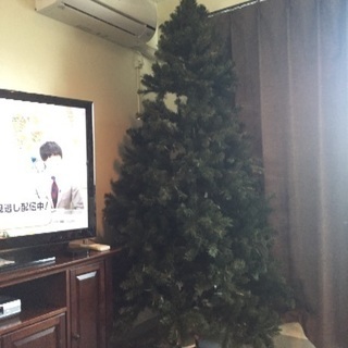 クリスマスツリー 2.28m