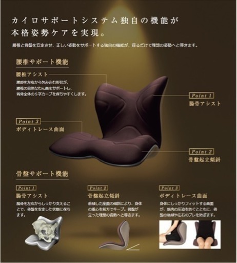 スタイルプレミアム 正規品  座イス 中古