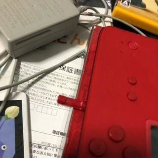 2DS 名探偵ピカチュウ